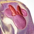 Kép 5/5 - Disney Minnie Holo divattáska, táska fényes, csillámos 36 cm